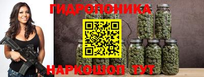 a pvp Обнинск