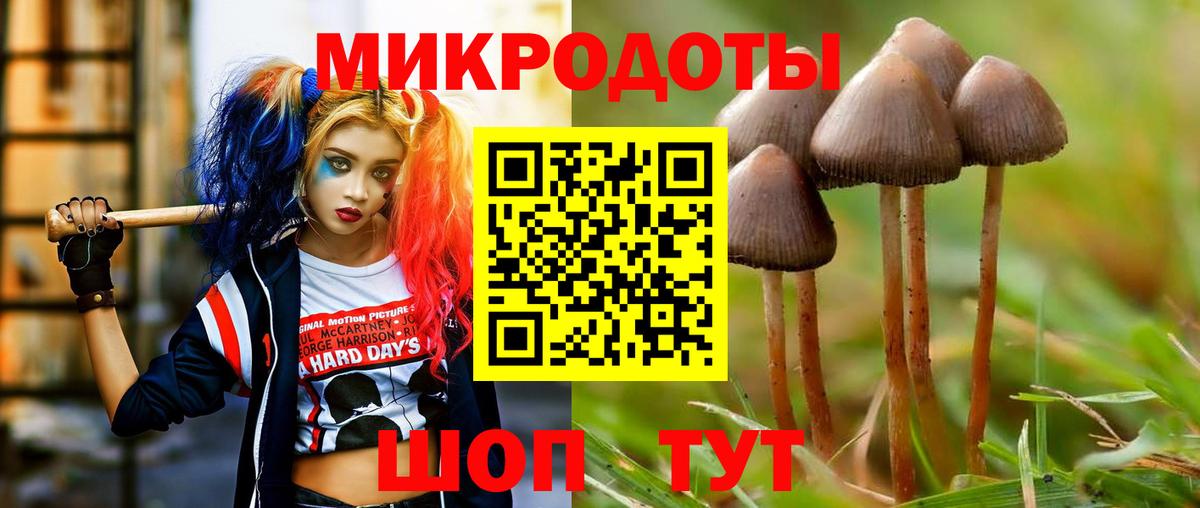Псилоцибиновые грибы мицелий Сланцы