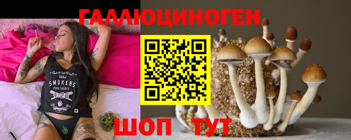 Псилоцибиновые грибы мицелий  Вход с VPN  Сланцы 